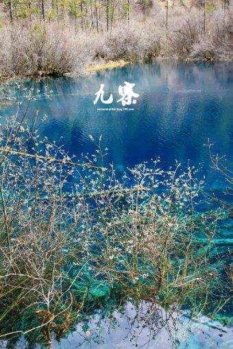 央企上市公司市值管理考核将全面推开，国企共赢ETF(159719.SZ)翻红冲击6连阳