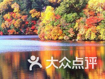 温太医为甄嬛抽血,娘娘患了宫外孕,医护人员的联欢会笑点频出