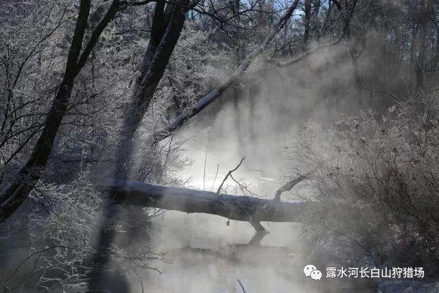 了解如何催熟菠萝蜜 菠萝蜜催熟方法——知识星球平台