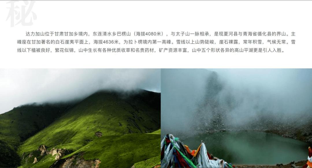 救援呆萌的猫