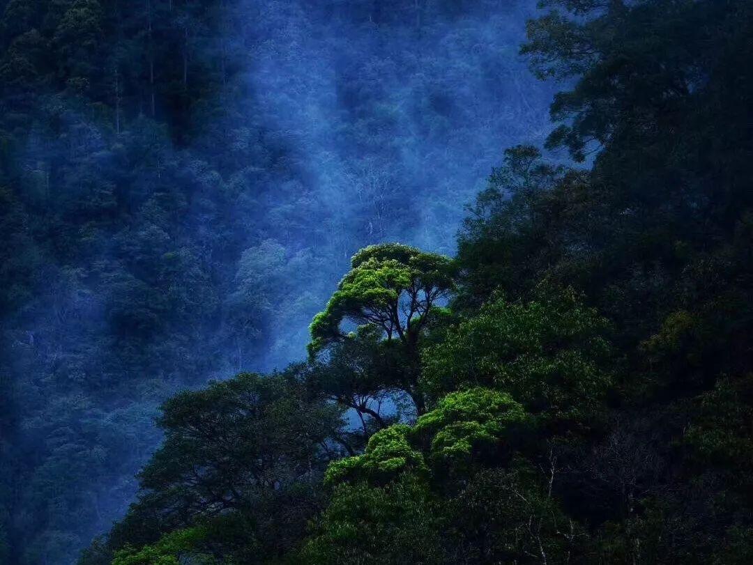该上初二了补课班的笔记跟学校笔记记一块好还是不记一块好？
