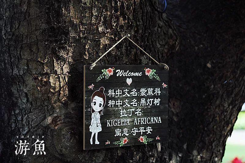 手机游戏