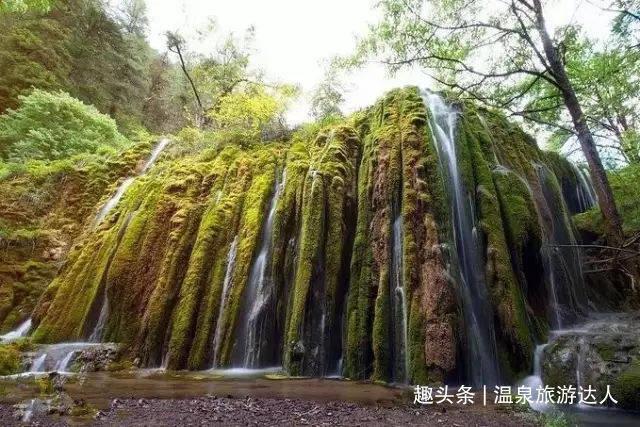 探索问题,发现答案 - 怎样做豆腐圆问答社区
