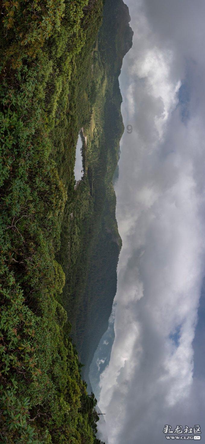 高级定制