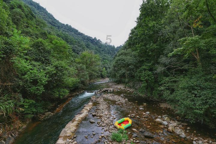 茂密丛林逃生