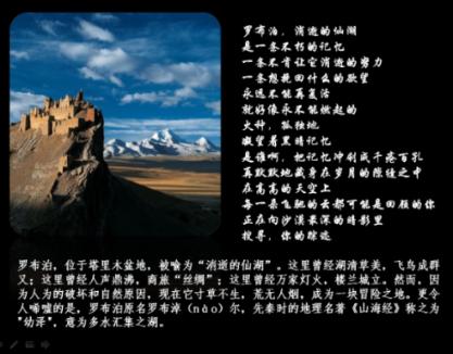 日常街拍