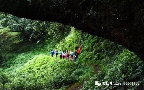 《摇滚狂花》热播， 姚晨、常远主演，他们二人会擦出怎样的火花呢？游戏画面