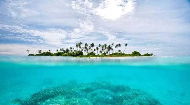 法国达飞海运集团避行苏伊士运河 绕道好望角