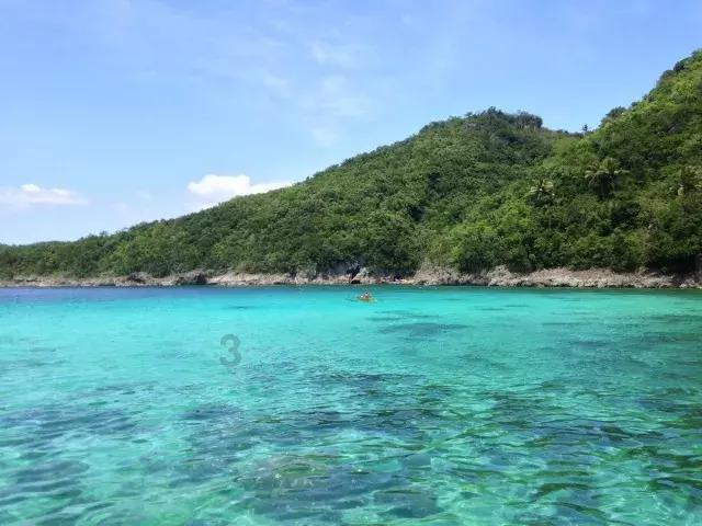 小猫钓鱼正版下载中文版