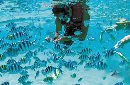 战低温保冬供!日产气2000万立方米 重庆涪陵气田保持高位运行