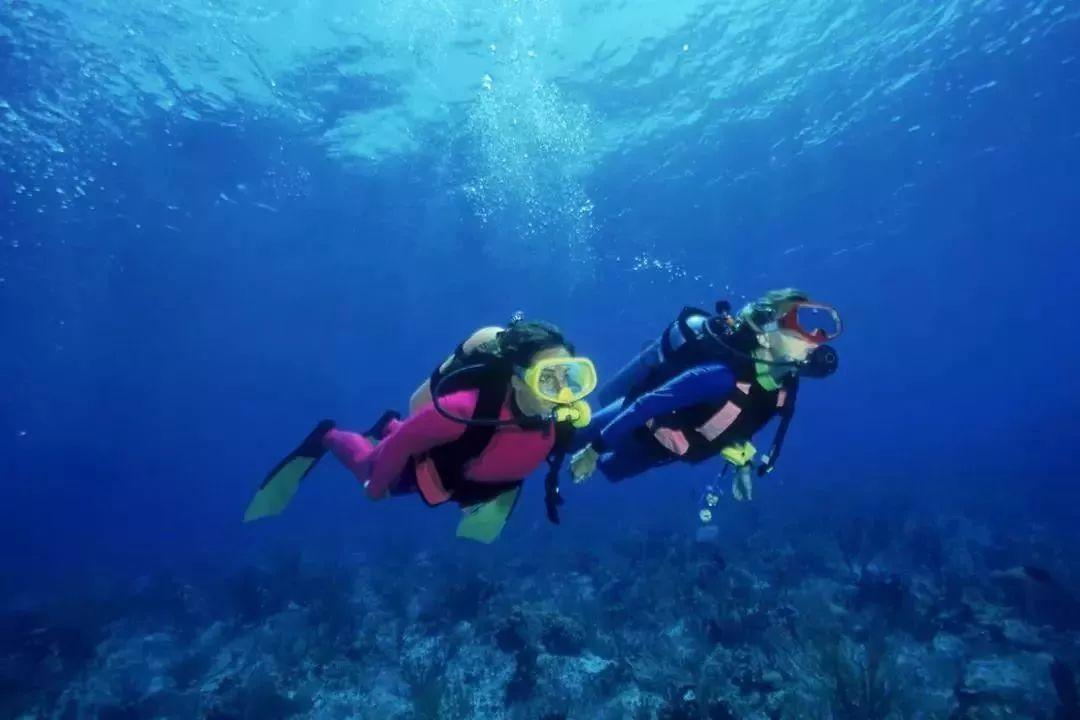 让荣誉闪闪发光
