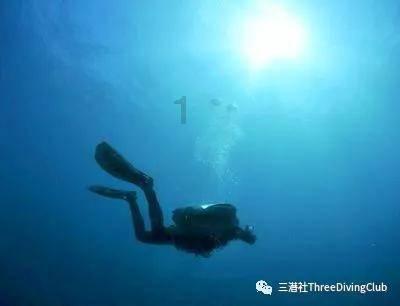 黑凉粉和红薯粉搅拌在一起做凉皮吃可以吗？游戏画面