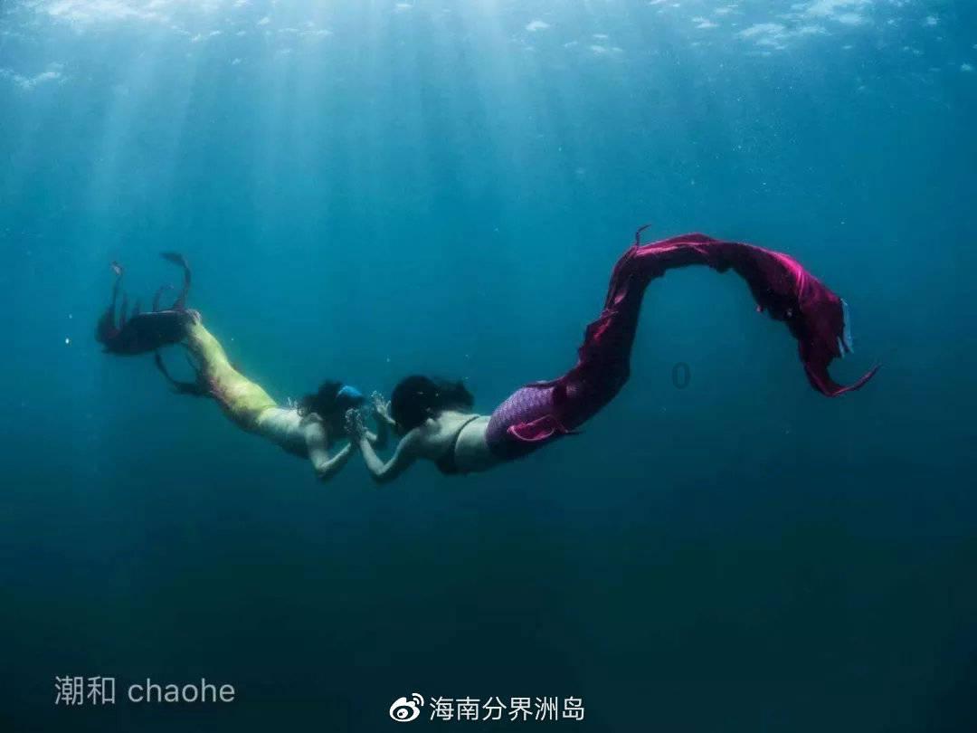 东京迷城