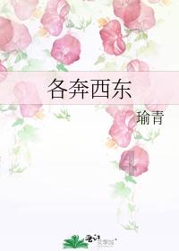 植物大战僵尸7