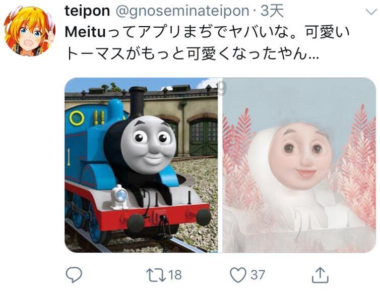 寻找萌宠松鼠