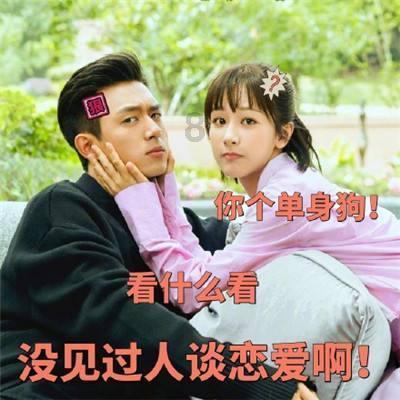 时尚POLO衫