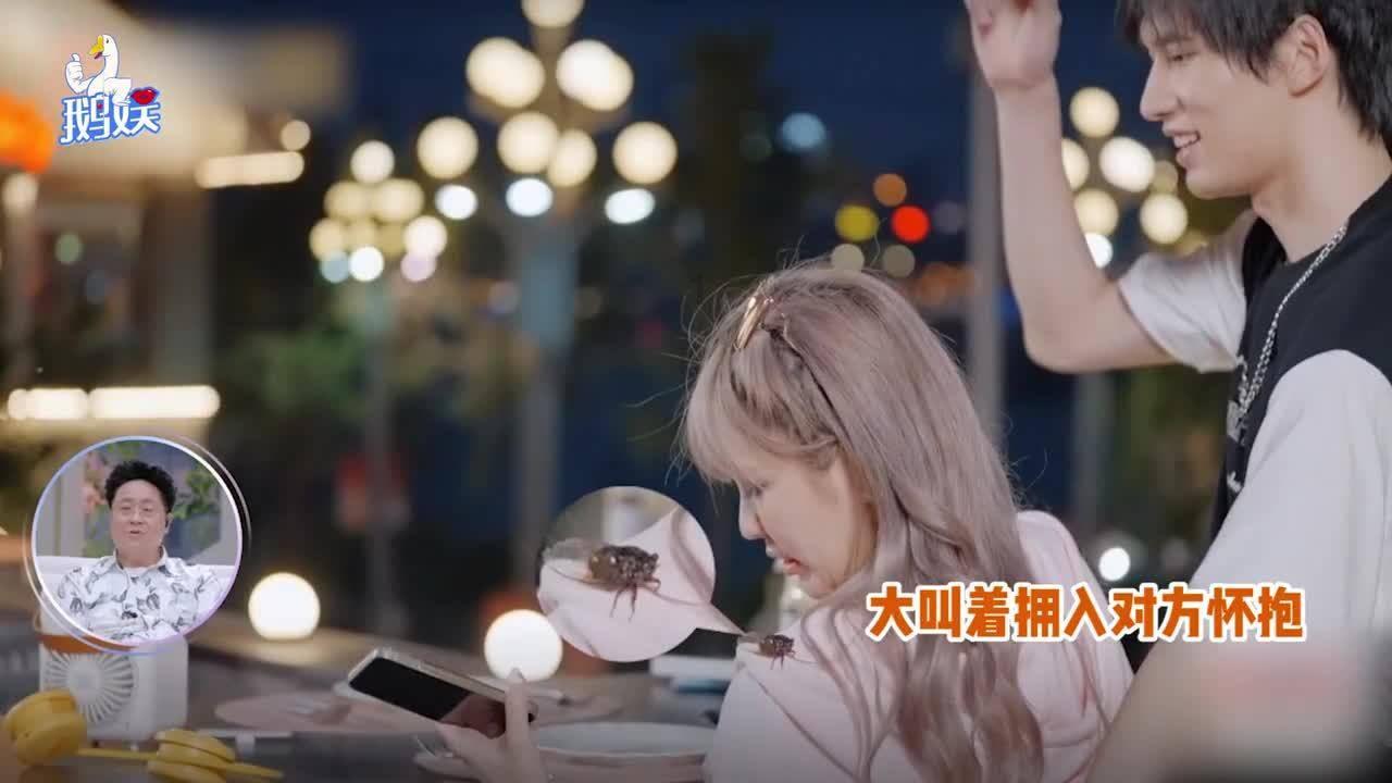 崩溃大陆