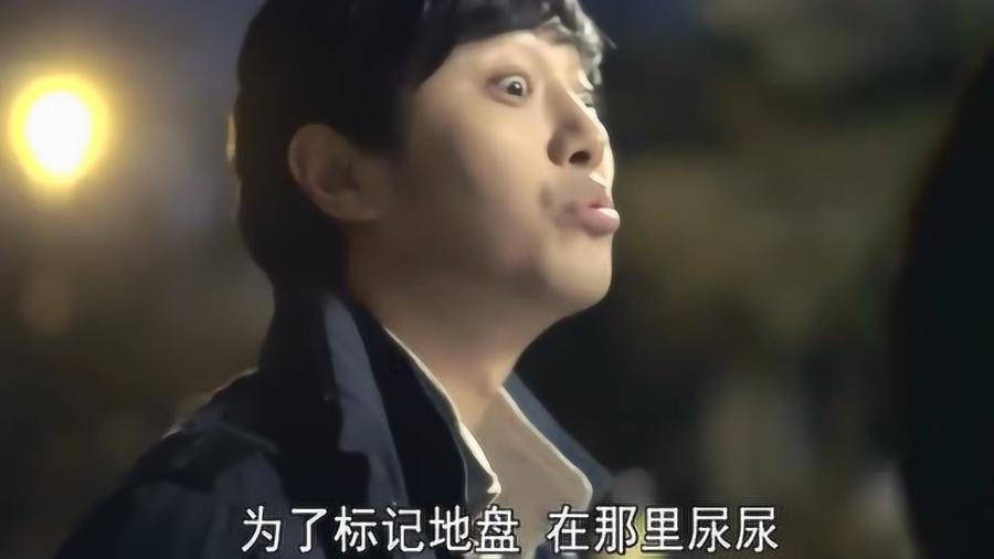 月光影视
