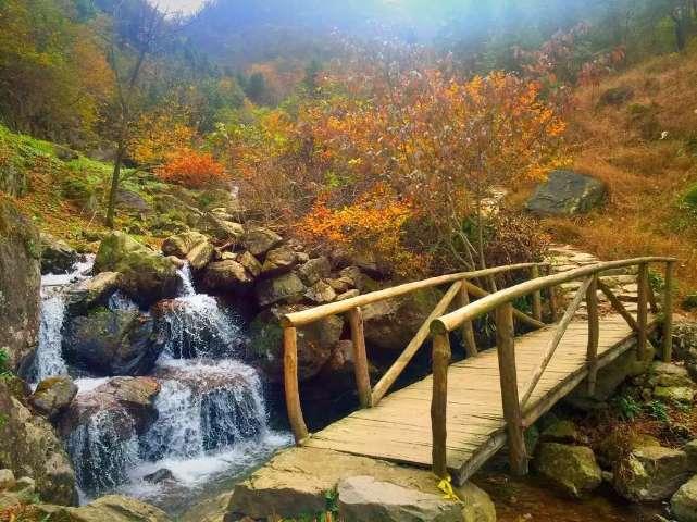 澳大利亚北领地遭遇洪水 部分地区发布紧急警报