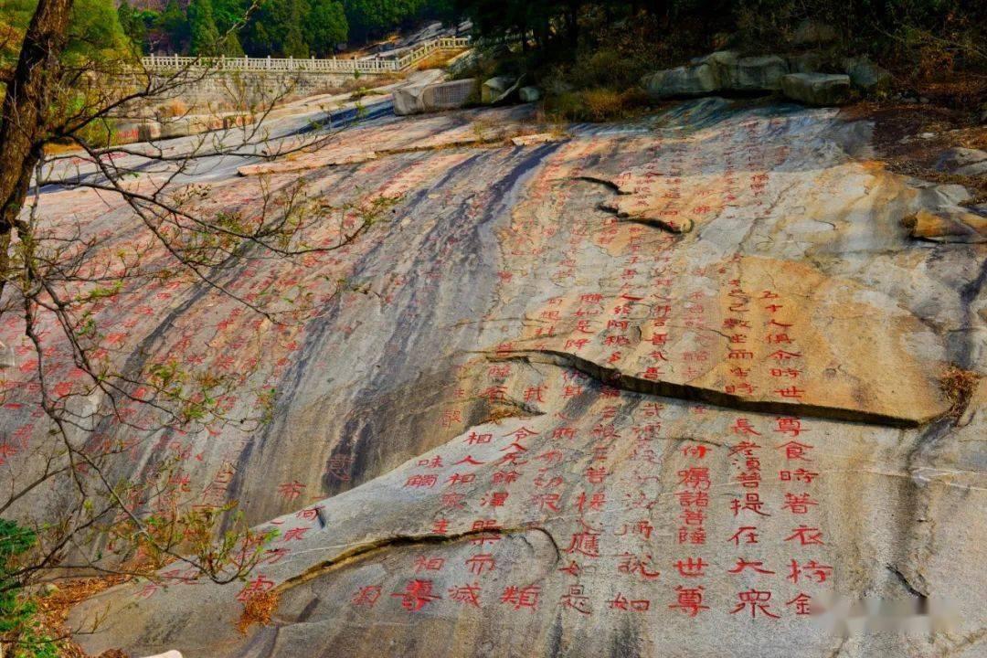 唐嫣希望原班人马拍《繁花2  》：别说三年了，再来三年都觉得是享受