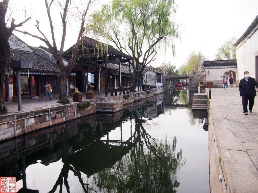 拯救蓝色小鸟