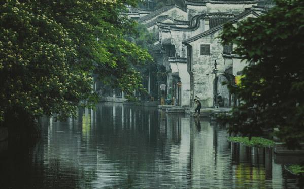 狗狗物品记忆卡