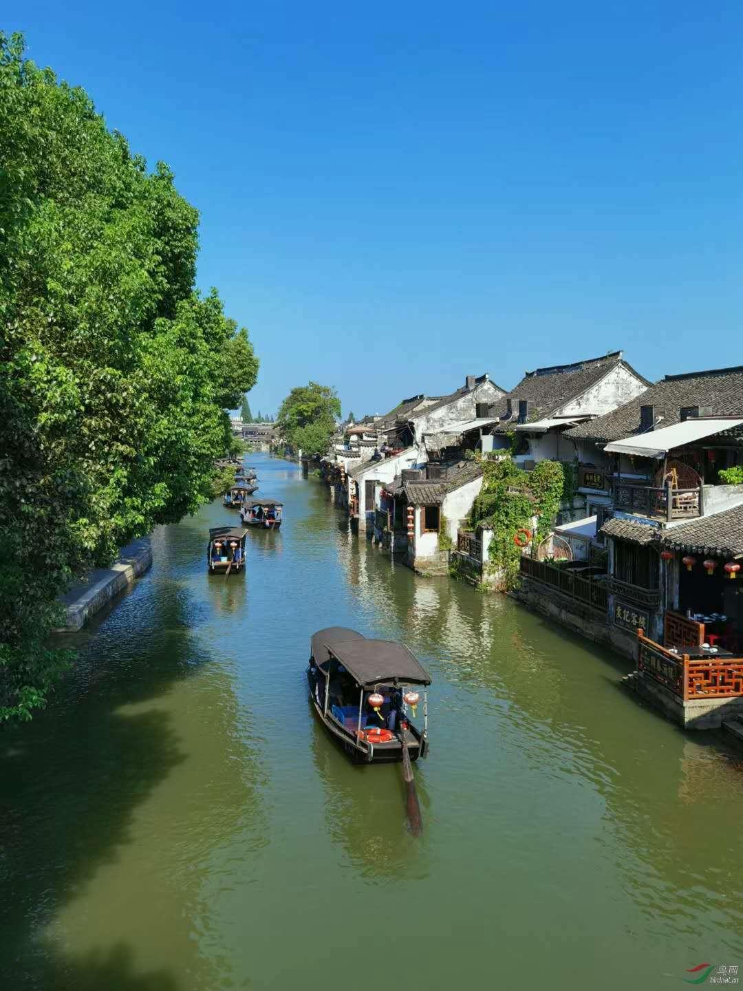 连线光球